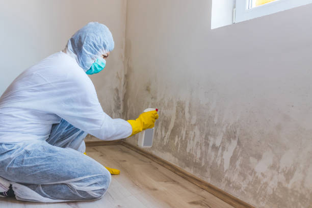 Commercial Mold Remediation assessment for commercial property in Auburndale